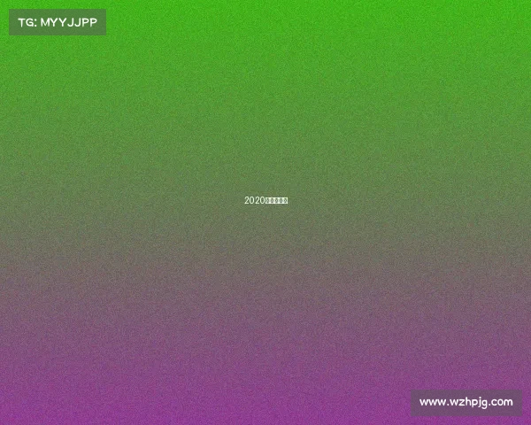 2020年珠海赛车 2020年珠海赛车