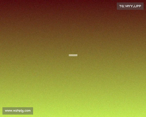 中国和荷兰女排